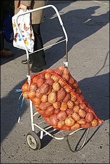 25 сентября 2010 г., Барнаул   Социальная продовольственная ярмарка в Барнауле