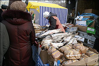 20 февраля 2010 г., Барнаул   Предпраздничная социальная ярмарка в Барнауле