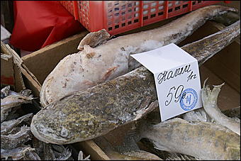 20 февраля 2010 г., Барнаул   Предпраздничная социальная ярмарка в Барнауле