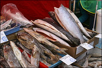 20 февраля 2010 г., Барнаул   Предпраздничная социальная ярмарка в Барнауле