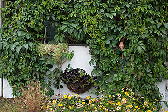 6 сентябрь 2016 г., Барнаул © Амител Вячеслав Мельников   Настроение – осень. Барнаул в сентябре