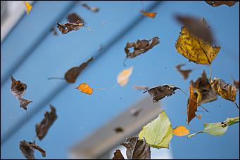 6 сентябрь 2016 г., Барнаул © Амител Вячеслав Мельников   Настроение – осень. Барнаул в сентябре