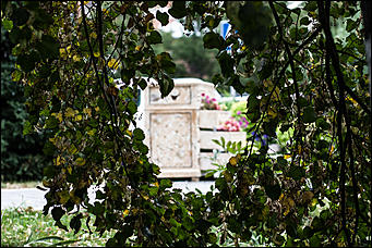 6 сентябрь 2016 г., Барнаул © Амител Вячеслав Мельников   Настроение – осень. Барнаул в сентябре