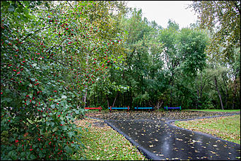 6 сентябрь 2016 г., Барнаул © Амител Вячеслав Мельников   Настроение – осень. Барнаул в сентябре