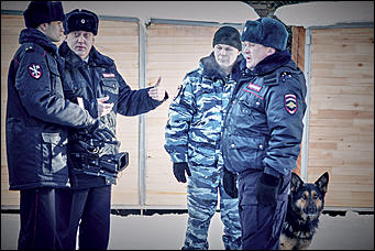 23 январь 2016 г., Барнаул © Амител. Мария Трубина   Собака бывает кусачей: как в Барнауле прошли кинологические учения?