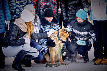 23 январь 2016 г., Барнаул © Амител. Мария Трубина   Собака бывает кусачей: как в Барнауле прошли кинологические учения?