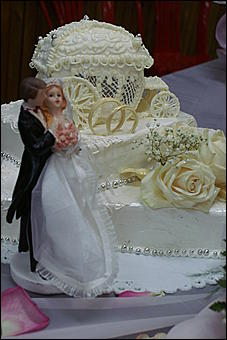 5 апреля 2009 г., Барнаул   Свадьба кошек