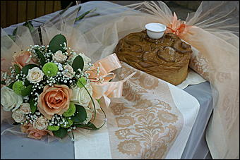 5 апреля 2009 г., Барнаул   Свадьба кошек