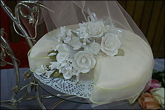 5 апреля 2009 г., Барнаул   Свадьба кошек