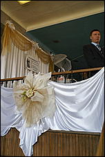 5 апреля 2009 г., Барнаул   Свадьба кошек