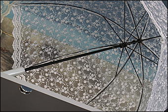 5 апреля 2009 г., Барнаул   Свадьба кошек