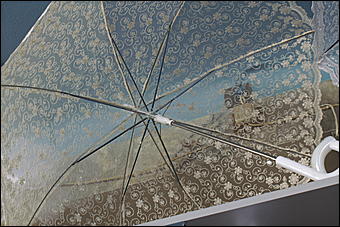 5 апреля 2009 г., Барнаул   Свадьба кошек