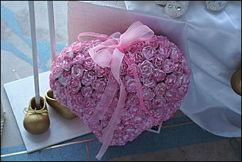 5 апреля 2009 г., Барнаул   Свадьба кошек