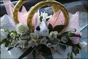 5 апреля 2009 г., Барнаул   Свадьба кошек