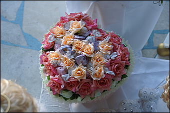 5 апреля 2009 г., Барнаул   Свадьба кошек