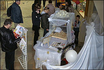 5 апреля 2009 г., Барнаул   Свадьба кошек