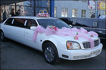 5 апреля 2009 г., Барнаул   Свадьба кошек