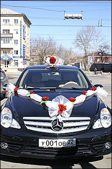 5 апреля 2009 г., Барнаул   Свадьба кошек