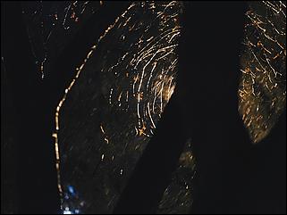 31 март 2017 г., Барнаул, Максим Наземцев   Первый весенний ливень в Барнауле 