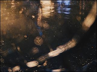 31 март 2017 г., Барнаул, Максим Наземцев   Первый весенний ливень в Барнауле 