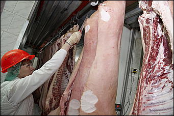 26 мая 2010 г., Новосибирск   Как журналисты за колбасой ходили