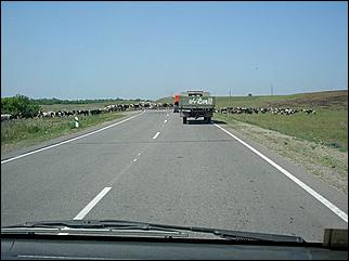 12-19 июля 2008 г., Алтайский край   Ретропробег «Колесо истории-2008»