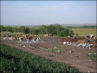 12-19 июля 2008 г., Алтайский край   Ретропробег «Колесо истории-2008»