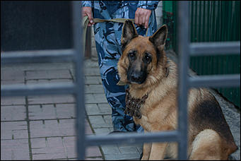 22 сентябрь 2016 г., Барнаул © Амител Вячеслав Мельников   Один день в новоалтайской колонии общего режима. Фоторепортаж 