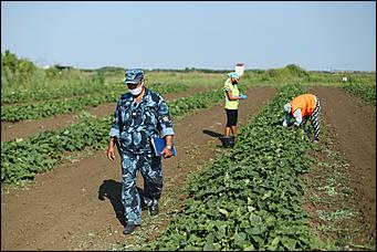 5 августа 2020 г., Барнаул. Екатерина Смолихина   В огород под конвоем. Как живут и работают осужденные женской колонии на Алтае
