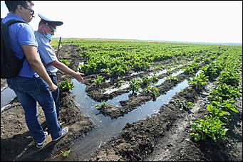 5 августа 2020 г., Барнаул. Екатерина Смолихина   В огород под конвоем. Как живут и работают осужденные женской колонии на Алтае