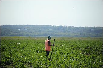 5 августа 2020 г., Барнаул. Екатерина Смолихина   В огород под конвоем. Как живут и работают осужденные женской колонии на Алтае