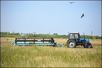 5 августа 2020 г., Барнаул. Екатерина Смолихина   В огород под конвоем. Как живут и работают осужденные женской колонии на Алтае