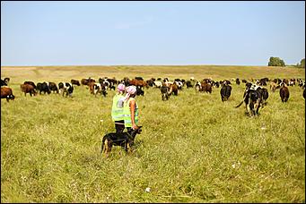 5 августа 2020 г., Барнаул. Екатерина Смолихина   В огород под конвоем. Как живут и работают осужденные женской колонии на Алтае
