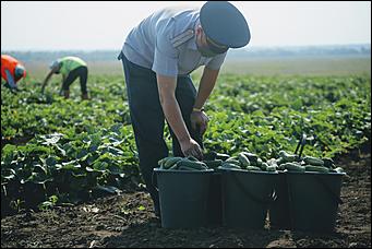 5 августа 2020 г., Барнаул. Екатерина Смолихина   В огород под конвоем. Как живут и работают осужденные женской колонии на Алтае