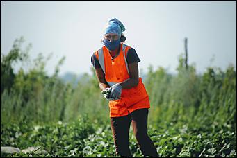 5 августа 2020 г., Барнаул. Екатерина Смолихина   В огород под конвоем. Как живут и работают осужденные женской колонии на Алтае