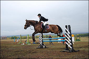 29-31 августа 2011 г., Барнаул   Официальные соревнования по конному троеборью