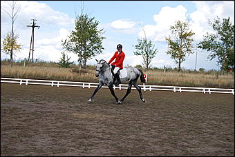 29-31 августа 2011 г., Барнаул   Официальные соревнования по конному троеборью