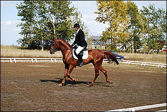 29-31 августа 2011 г., Барнаул   Официальные соревнования по конному троеборью