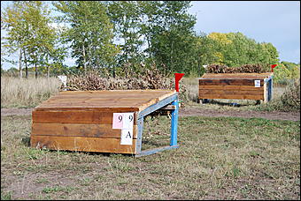 29-31 августа 2011 г., Барнаул   Официальные соревнования по конному троеборью