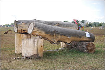 29-31 августа 2011 г., Барнаул   Официальные соревнования по конному троеборью