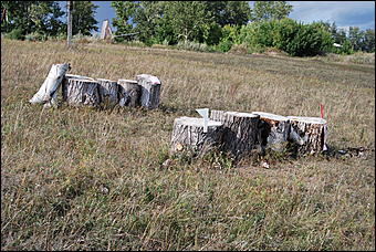 29-31 августа 2011 г., Барнаул   Официальные соревнования по конному троеборью