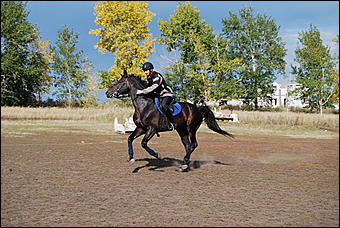 29-31 августа 2011 г., Барнаул   Официальные соревнования по конному троеборью