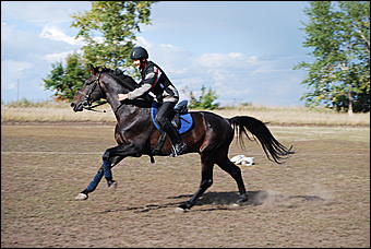 29-31 августа 2011 г., Барнаул   Официальные соревнования по конному троеборью