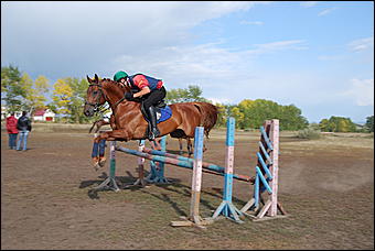 29-31 августа 2011 г., Барнаул   Официальные соревнования по конному троеборью