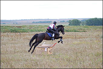 29-31 августа 2011 г., Барнаул   Официальные соревнования по конному троеборью