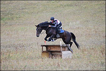 29-31 августа 2011 г., Барнаул   Официальные соревнования по конному троеборью