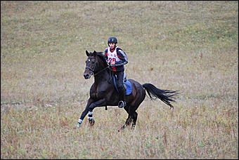 29-31 августа 2011 г., Барнаул   Официальные соревнования по конному троеборью