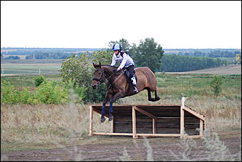 29-31 августа 2011 г., Барнаул   Официальные соревнования по конному троеборью