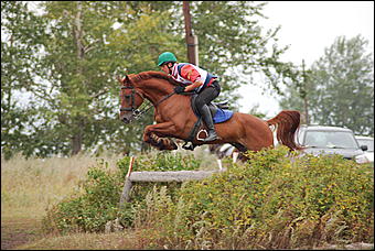 29-31 августа 2011 г., Барнаул   Официальные соревнования по конному троеборью