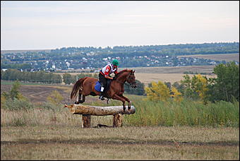 29-31 августа 2011 г., Барнаул   Официальные соревнования по конному троеборью